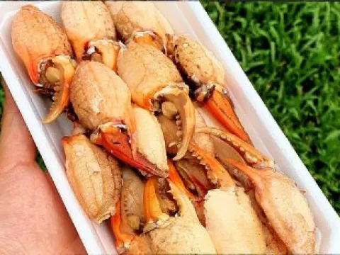 Càng cua trung