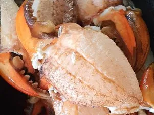 Càng cua đại