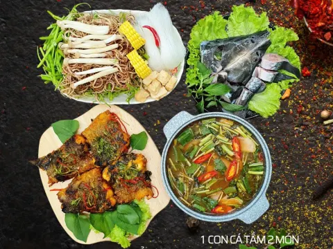 Cá tầm