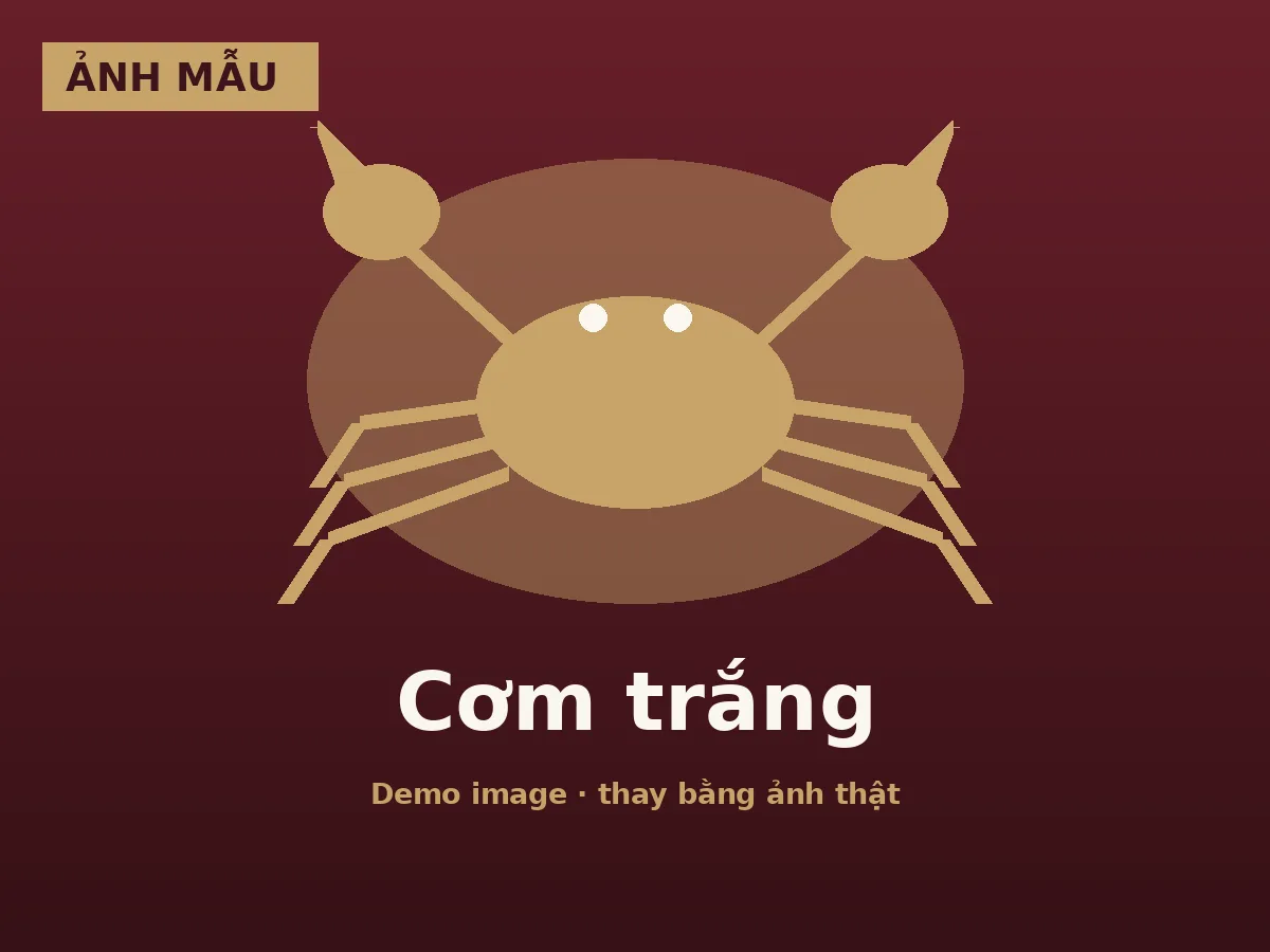 Cơm trắng