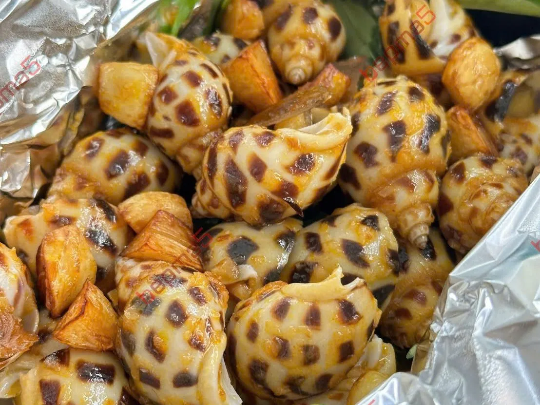 Ốc hương